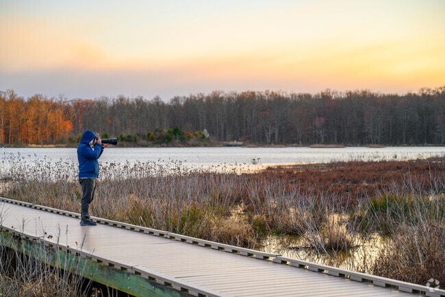 Huntley Meadows Park near Rose Hill is a birding hotspot attracting many wildlife photographers.