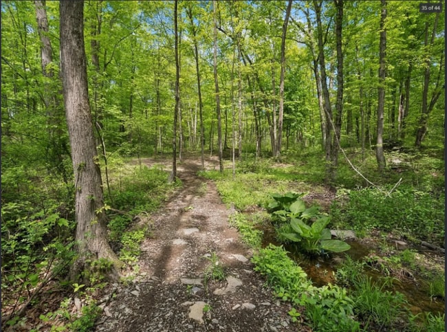 26 Woodland Cir, Hyde Park, NY 12538 - photo 5