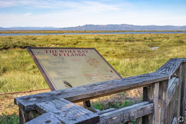 Read about the wetlands at the Highland Eagle Sanctuary in Svenesen.