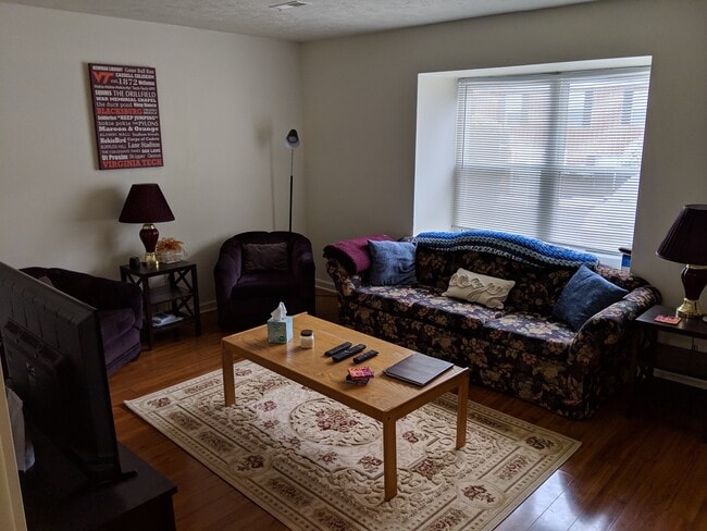 143 Clover Valley Cir, Blacksburg, VA 24060 - photo 5