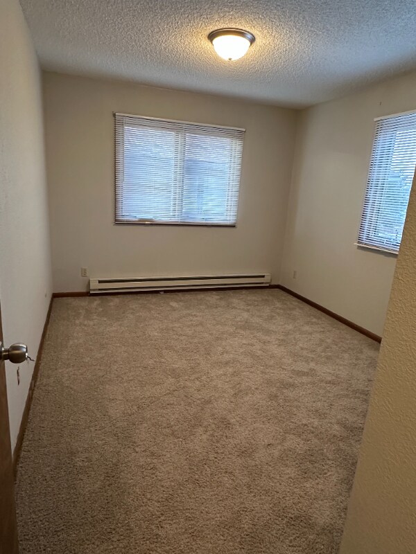 4207 E Comanche Dr, Laramie, WY 82072 - photo 7