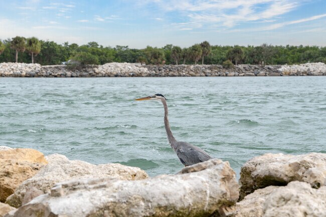 Discover the untamed beauty on Floridana Beach's shoreline.