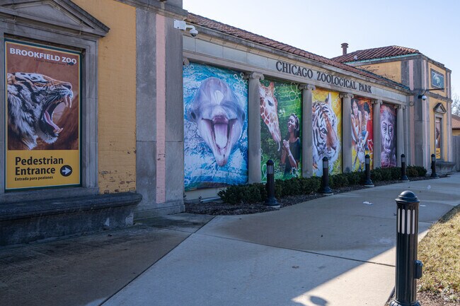 There are so many amazing animals at the Brookfield Zoo in La Grange Park.