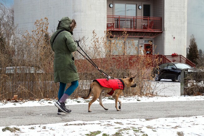 Broad Ripple has a dog-friendly vibe and some restaurants may even offer water bowls for pets.