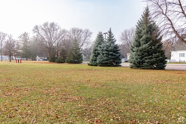 The expansive greenspace of Lions Park holds activities for the annual Celebrate Montrose festival.