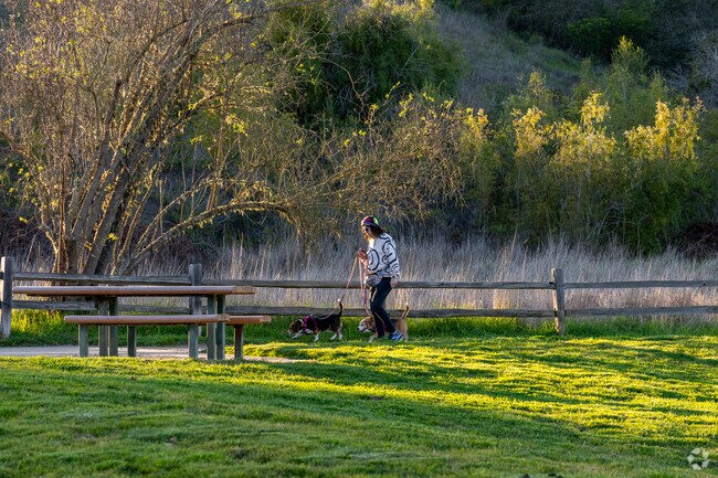 anna Jean Cummings Park is a great place to walk with your furry friends.