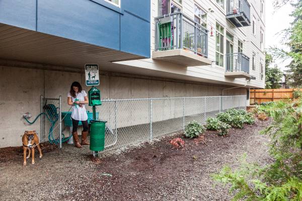 Designated Dog Areas