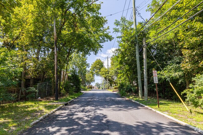 Trees line the streets of Elmsford.
