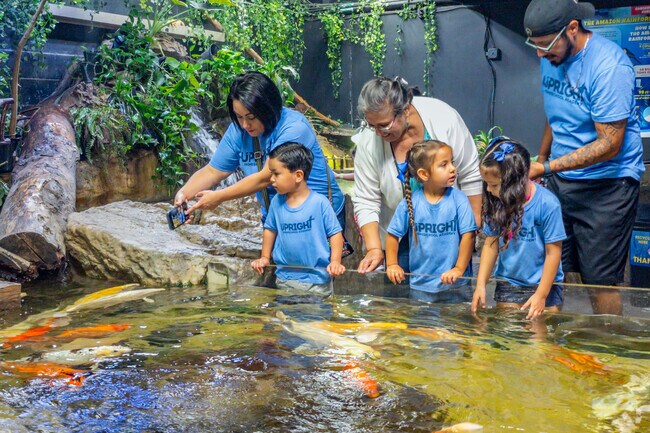 Dive into a new world of exploration at the San Antonio Aquarium in Leon Valley.