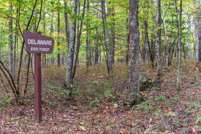 State Game Lands Number 209 in Shohola is located by the Delaware State Forest.