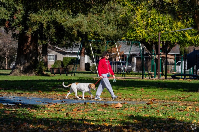 Doerr Park provides the perfect locale for dog walking.
