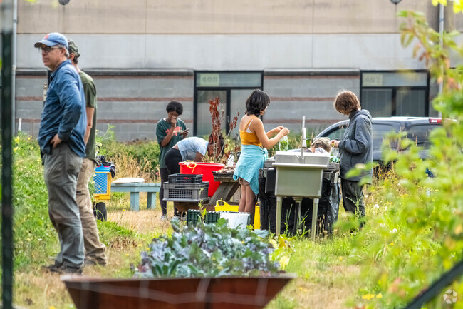 Bush Point locals tending to their local P-Patch garden.