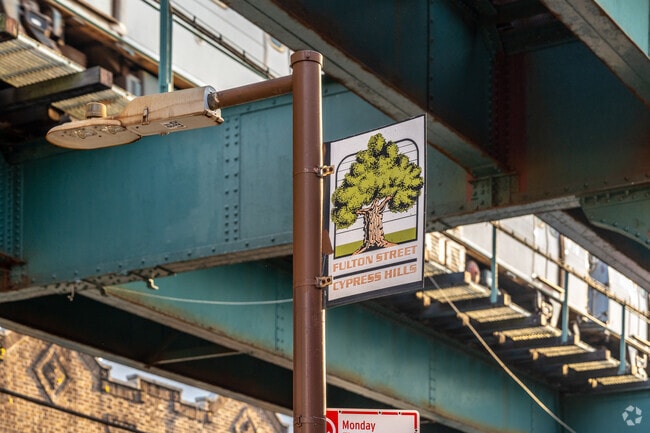 Welcome to Cypress Hills, a densely populated neighborhood in Brooklyn, NY.