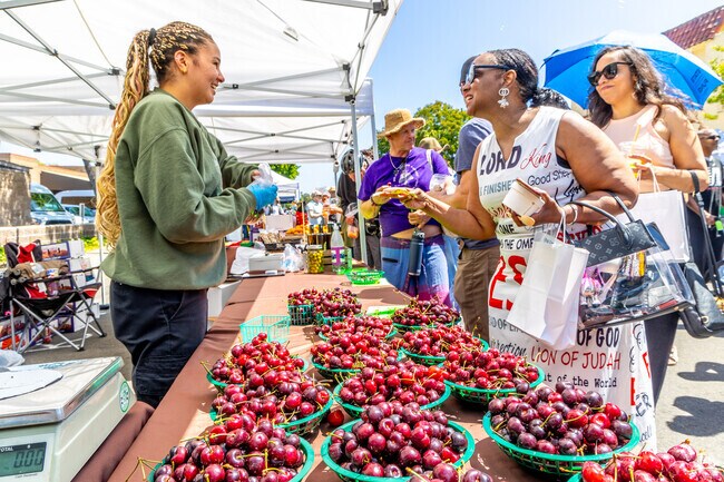 Experience the longest-standing event in San Leandro at the annual Cherry Festival in June.