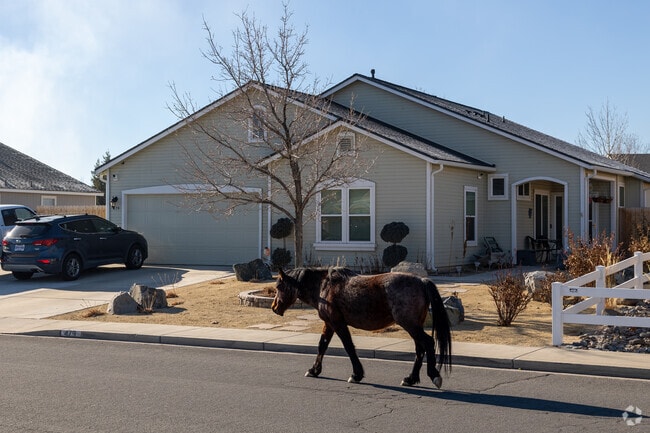 A horse strolls past new-traditional homes, reflecting Dayton’s rural charm and lifestyle.