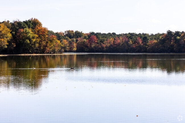 For some peaceful reflection go to Pemberton Lake in Pemberton Township.