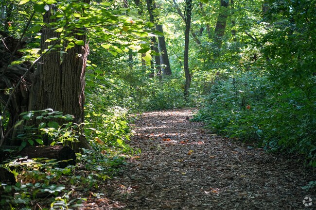 Walnut Ridge has a beautiful hiking trail within the neighborhood.