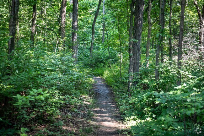 Take a peaceful hike near Springhill at the Armbruster Nature Preserve.