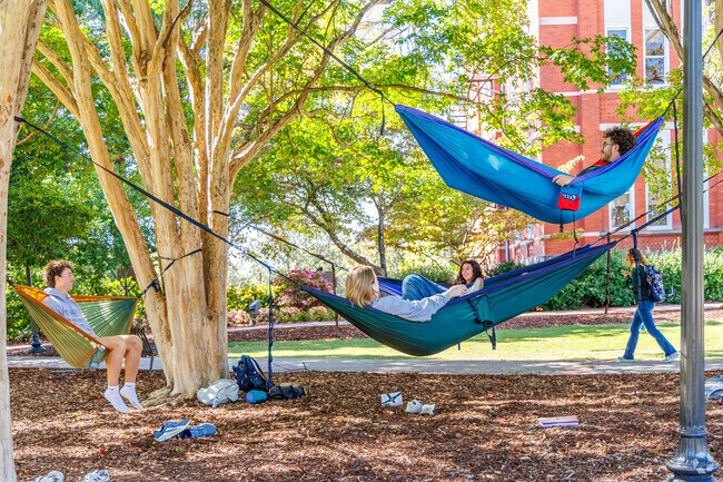 On any day you might find Auburn University students lounging in hammocks near Mckinley Heights.