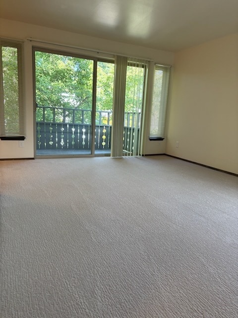Living room patio door