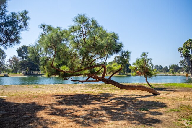 Enjoy the beautiful lake at the center of Magic Johnson Recreational Park in Compton.