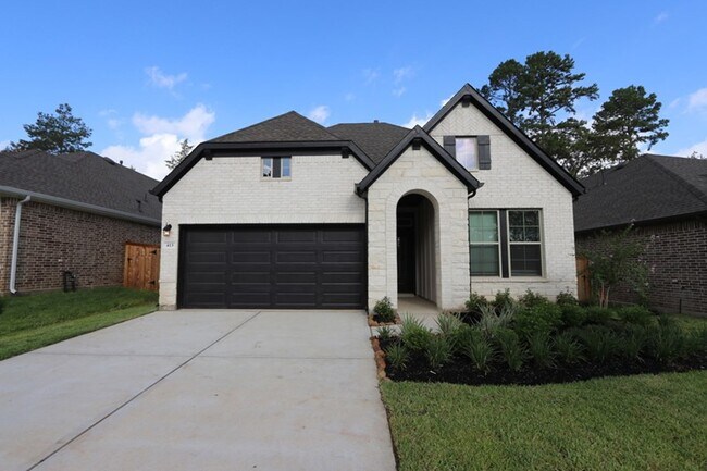 1196 Wandering Brook St unit 36473101, Magnolia, TX 77354 - photo 4