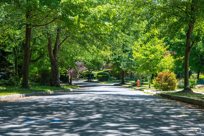 The trees in Cedarcroft neighborhood are beautiful and keep you in the shade.