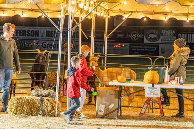 As twilight falls, Frankford lights up with wonder here, a simple petting zoo becomes a memory-making experience bathed in soft glow and childhood laughter.