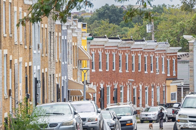 Residents can walk their dogs down the streets of Mill Hill during the day without worry.