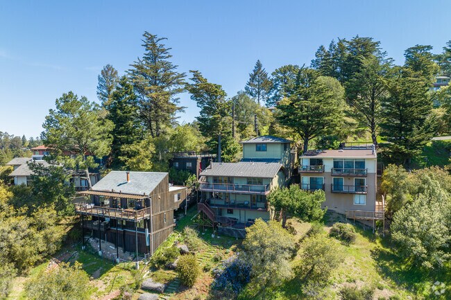 The homes in the Montclair Hills look out to the bay, redwood trees, and nature.