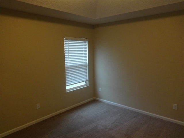 6421 Pinewood Hills Dr, Jacksonville, FL 32218 - photo 7