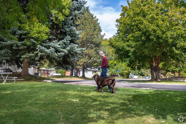 A woman walks her dog at River Hollow Park in Wilson.