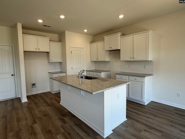 1064 Flat Coat Ln, Chapin, SC 29036 - photo 3