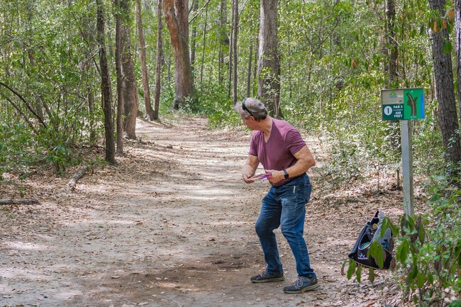 James Island County Park has a fun disc golf course with tree shaded fairways.