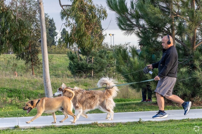 Local park goers in the area can find plenty of parks in the West Carson area.