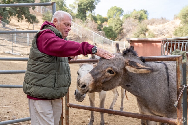 Visitors to Santa Clarita's Hart Park will find historic buildings, a train, a petting zoo, and a bison herd.