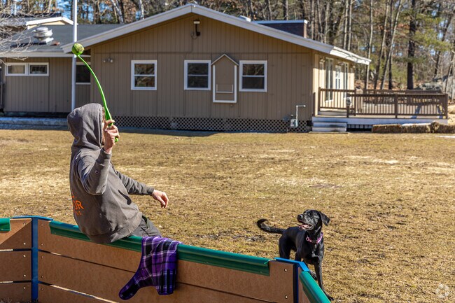 Play fetch with your fur babies at Prospect Hill Park in Waltham Highlands.