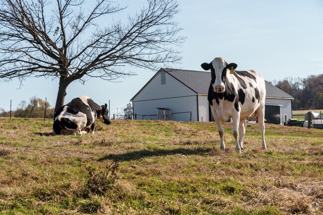 You're as likely to have four-legged neighbors than two in Peach Bottom.