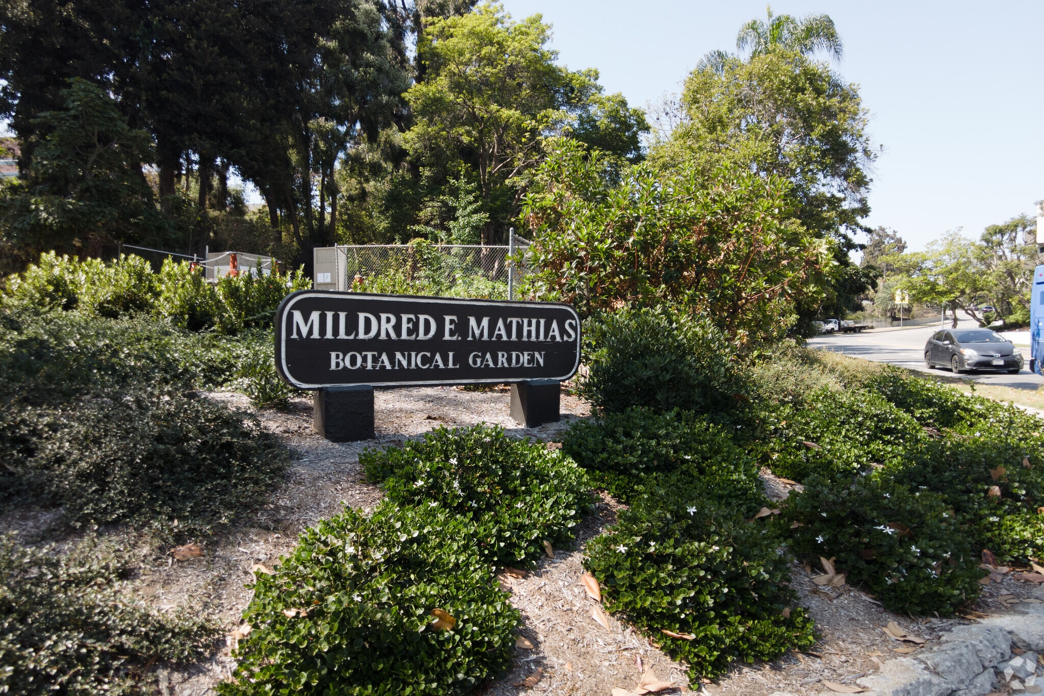 About Bel Air Schools, Demographics, Things to Do