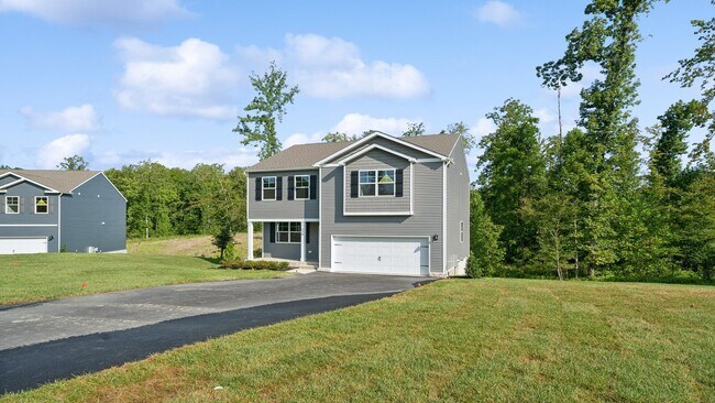 20209 Spring Branch Ct unit 36204099, Franklin, VA 23851 - photo 4