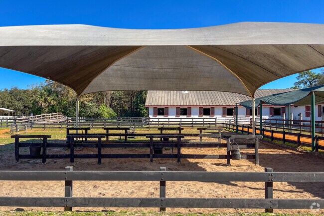 Tradewinds Park has a horse training site where you can take a lesson.