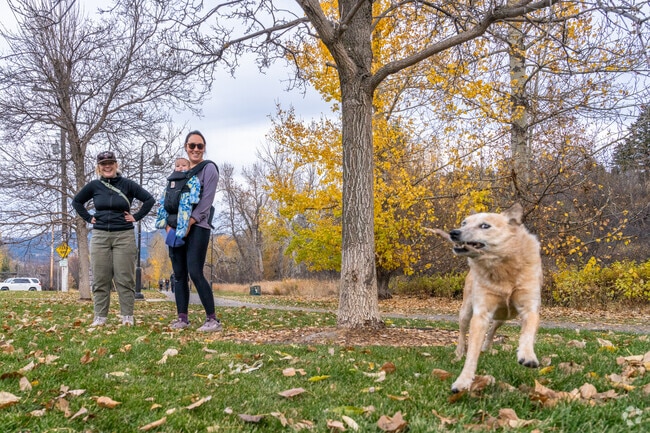 Take your dog for a scenic walk on the hiking trails of Peets Hill.