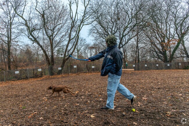 Pet owners hang out at Abendroth Park, where they’ll find Port Chester’s only dog park.