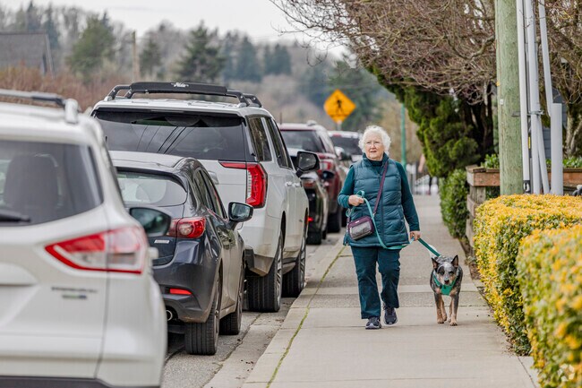 A Gig Harbor North local walks her cute cattle dog along Harborview Dr.