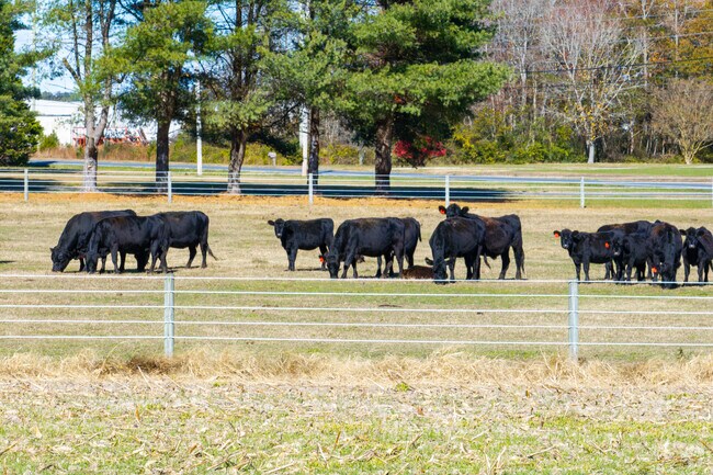 East New Market's farmland extends for miles in all directions.