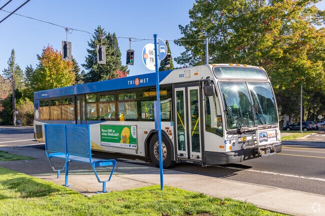 Buses to Washington Square and the Transit Center cut through Denney Whitford.