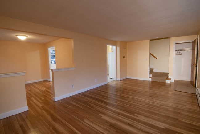 Living room and entrance