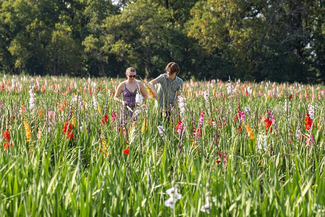 Holland Ridge Fall Festival occurs every year in September.