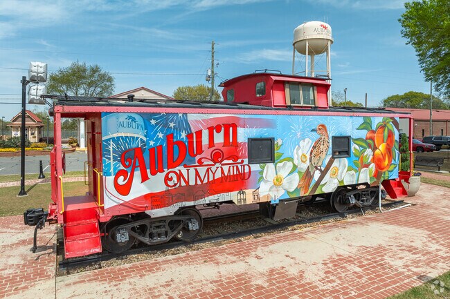 Vibrant murals, crafted by talented local artists, brilliantly showcase the stunning beauty and rich artistic spirit that can be found throughout the streets of Auburn.