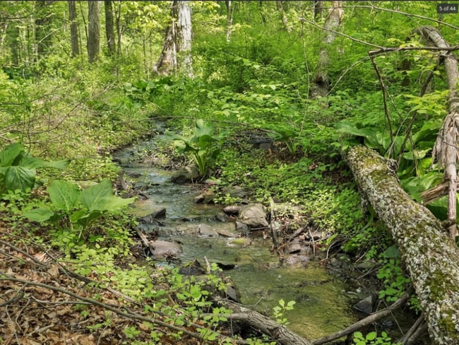 26 Woodland Cir, Hyde Park, NY 12538 - photo 4